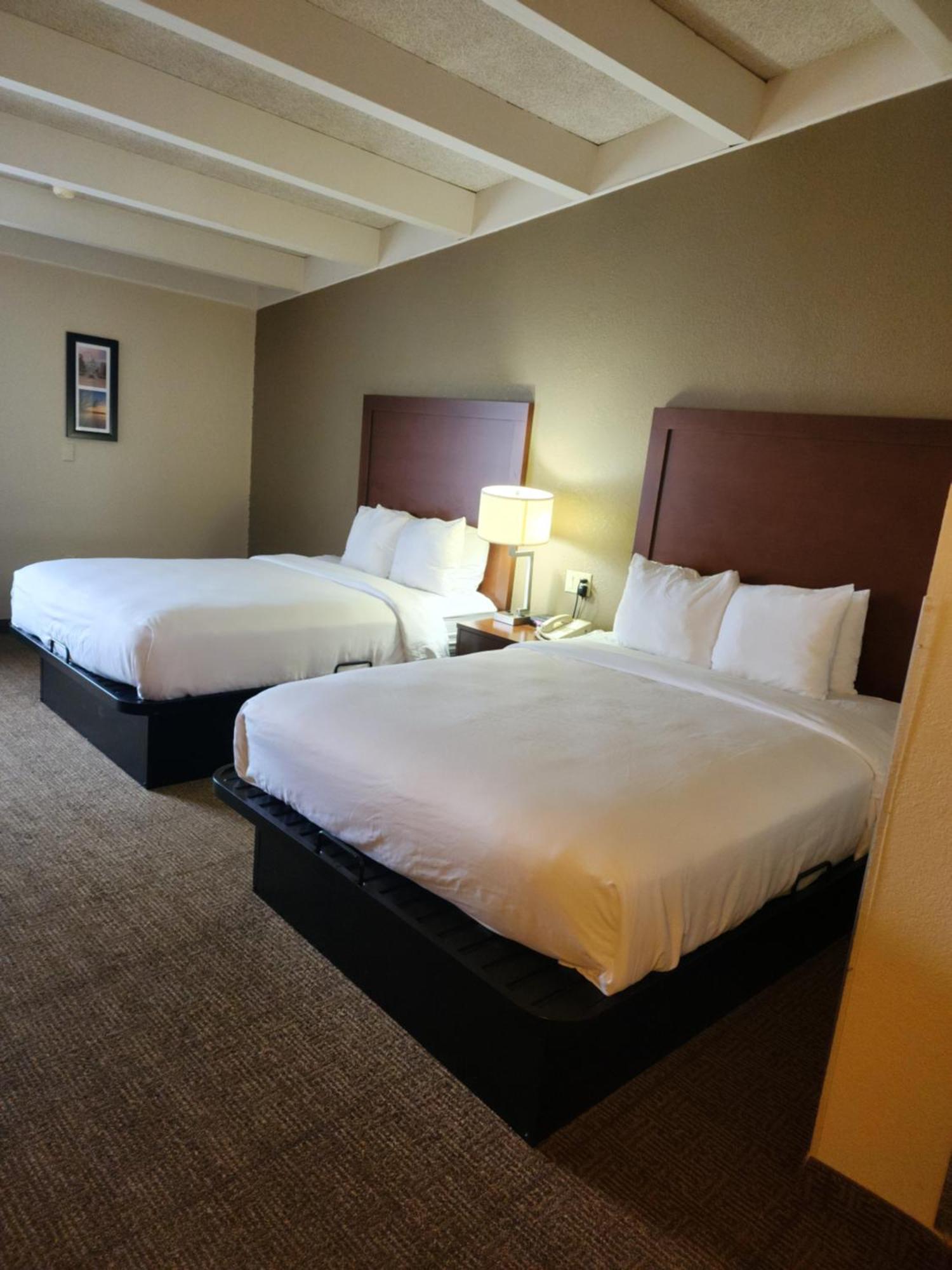 Comfort Inn & Suites Madison - Airport Esterno foto