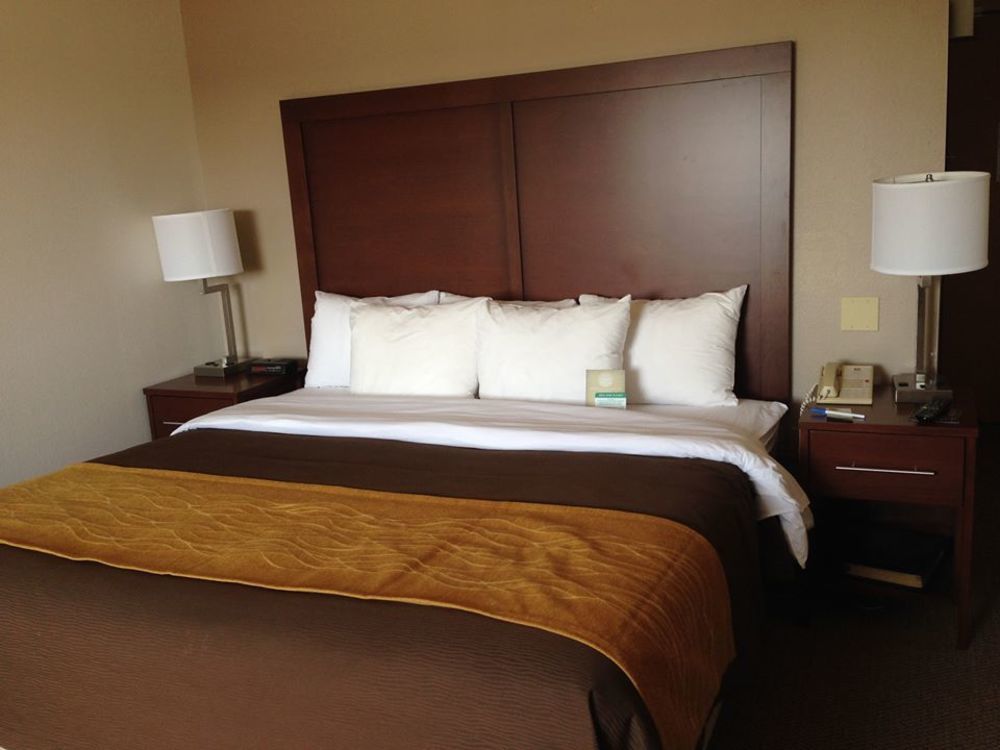 Comfort Inn & Suites Madison - Airport Esterno foto